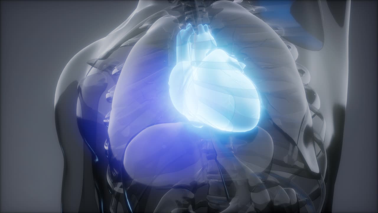 examen de radiología del corazón humano