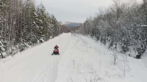 snowmobiling through a snowy forest