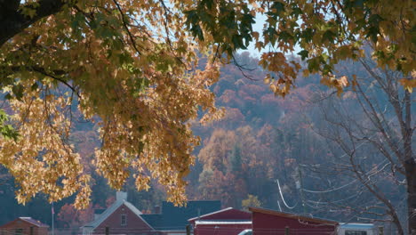 campo caída árbol de otoño con la granja en el fondo