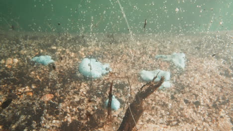 downthrow of toxic waste in river water with pebbled bottom