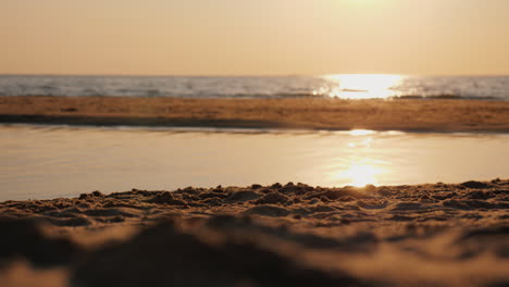 a man throws a plastic bottle on the beach plastic pollution