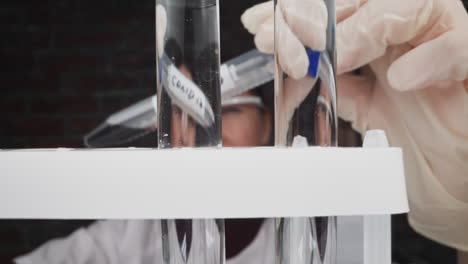 doctor checks patient blood sample and puts tube on rack