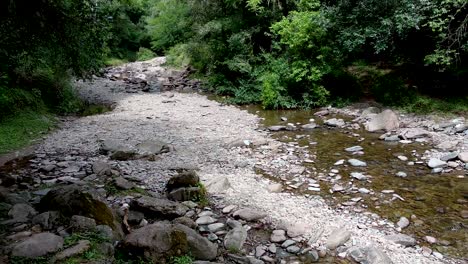 Blick-über-Das-Flussbett-Aus-Kieselsteinen,-Das-Durch-Das-Waldgebiet-Tröpfelt