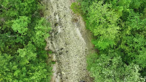 Flussfluss-Zwischen-üppigen-Grünen-Wäldern-Im-Slowenischen-Logar-Tal,-Luftdrohnenansicht