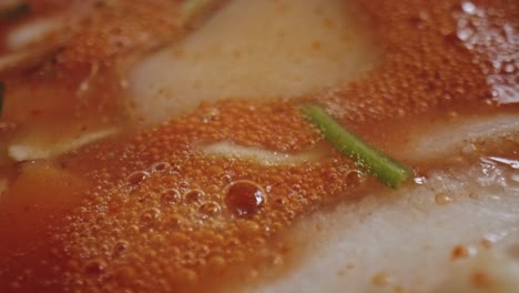 Extreme-Close-Up-Of-Bubbles-In-Tomato-Stew-Soup