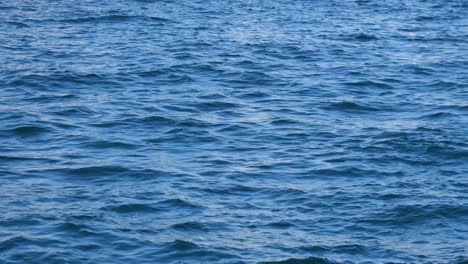 ocean waves