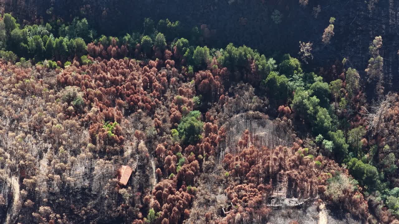 Burned landscape near a river in Portugal after 2025 summer wildfires