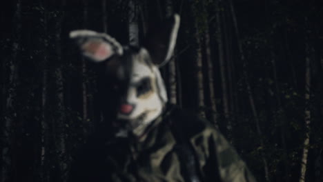 silhouette of an animal in a dark forest at night