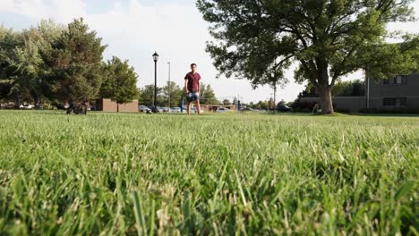 Young-Man-walks-at-public-outdoor-park-as-grey-stray-cat-runs-away,-sunny-day