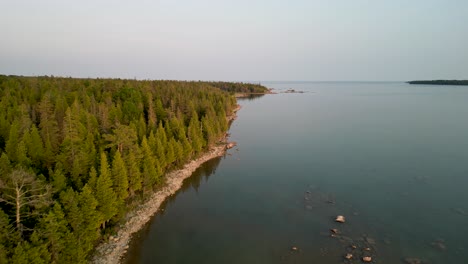 aerial ascent along forested coastline, lake huron, golden hour