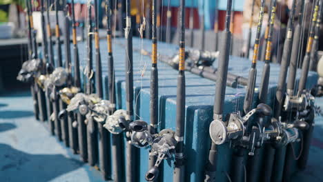 fishing rods and reels