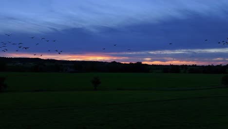 silhouettes of geese migrating, colourful background of sunset skies