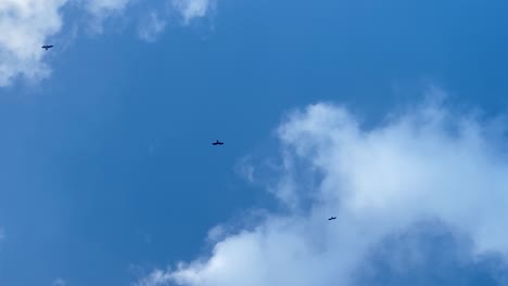 Große-Greifvögel-Kreisen-Hoch-Am-Himmel