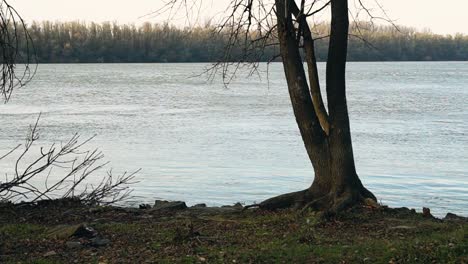 the rainy season on the danube river