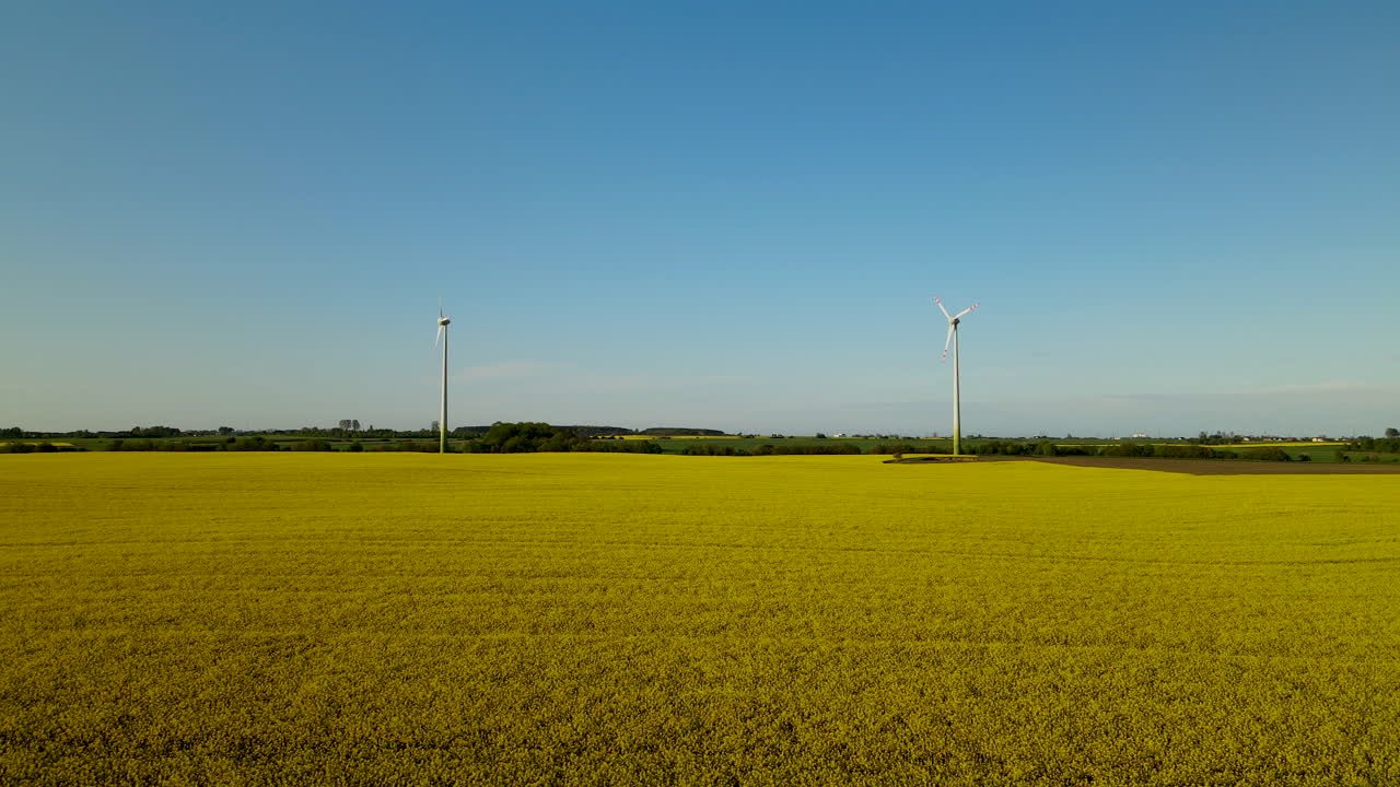 vista aérea de los campos de semillas de colza con turbinas eólicas en el fondo - lebcz polonia - conceptos de agricultura y ganadería