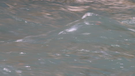 un primer plano del agua corriente del río