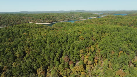 vibrant lush forest during autumn in eagle hollow, arkansas, usa - drone shot