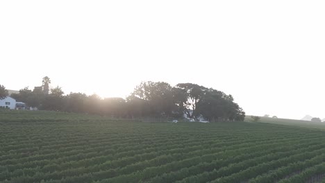 drone shot of a farm in cape town at sunrise
