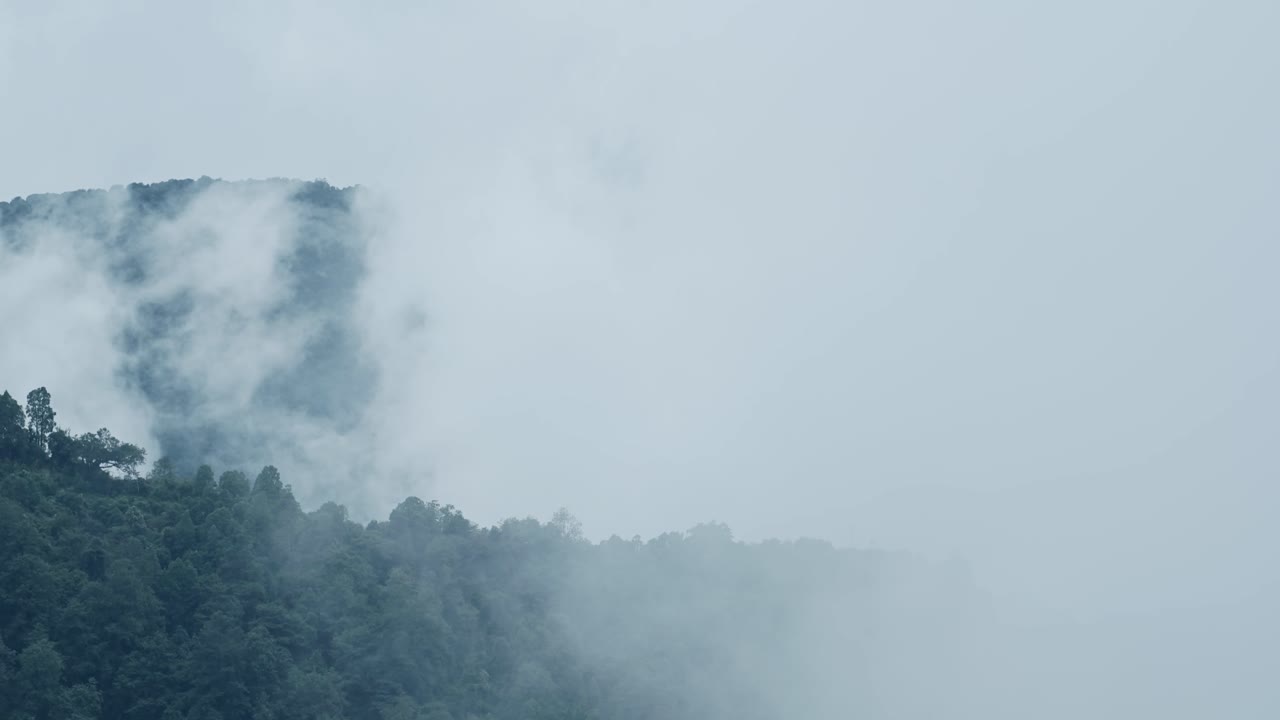 Mountain Ridge with Forest in Clouds, Nepal Nature Shot of Himalayas Mountains with Trees and Layers of Low Lying Clouds in the Ananpurna Region of Nepal