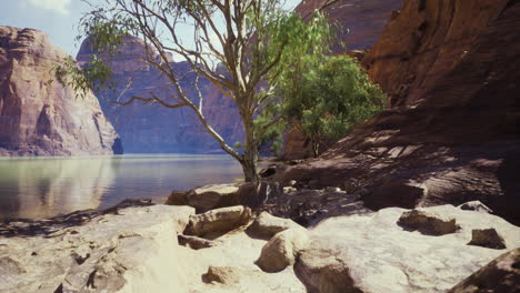 scenic view of a tranquil riverbank surrounded by rocky cliffs and trees