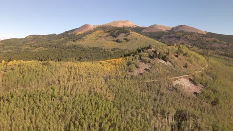 flying along an aspen covered ridge with a dirt road towards treeless summits