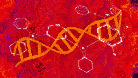 animation of chemical formula and dna strand on red background