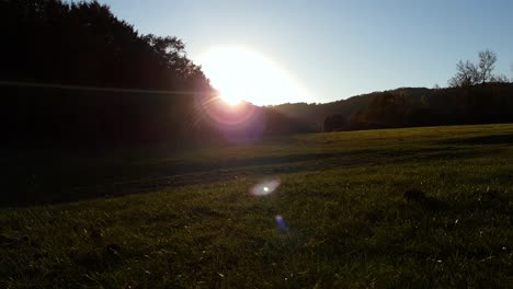 puesta de sol brillante en el campo del bosque con destellos de cámara y reflejo