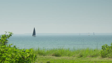 Idílico-Paisaje-Marino-De-Verano:-Plantas-En-Primer-Plano,-Mar-Tranquilo-Con-Veleros-Y-Faro-En-El-Horizonte,-Día-Soleado-En-Sydals,-Dinamarca