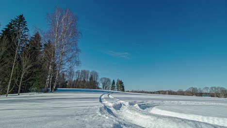 Lapso-De-Tiempo-Disparó-Sobre-El-Campo-Cubierto-De-Nieve-Durante-Todo-El-Día-Con-La-Puesta-De-Sol-En-El-Fondo-Detrás-De-La-Silueta-De-Los-árboles