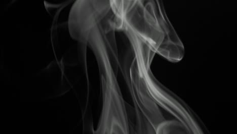 clouds of gray smoke slowly rising graceful twists upward. black and white cigar smoke blowing from bottom to top. close-up, isolated on black background