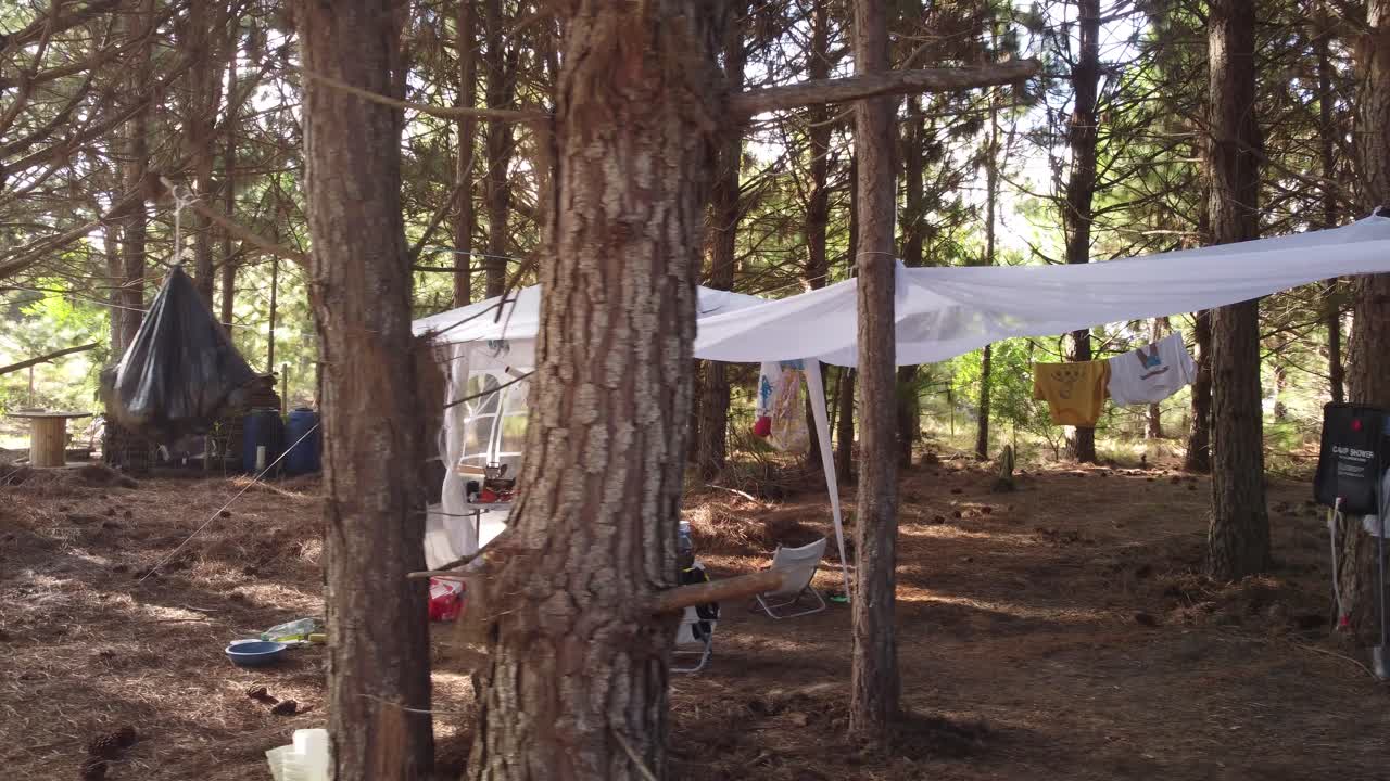 한 젊은 여성 이 소나무 숲 에 있는 텐트 캠프 에서 아침 식사를 준비 하고 있다