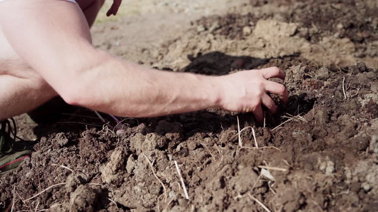 Visão parcial de um homem plantando batata-doce em solo de jardim cultivado.