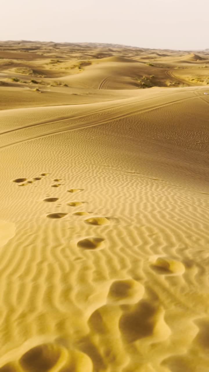 Impronte che si estendono sulle dune di sabbia dorate del deserto