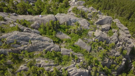 drone view of a rocky cliff with pine trees growing on top