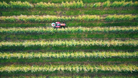 Traktor-Pulverizador-De-Cultivos-Fumigación-Con-Pesticidas-O-Herbicidas-En-El-Campo