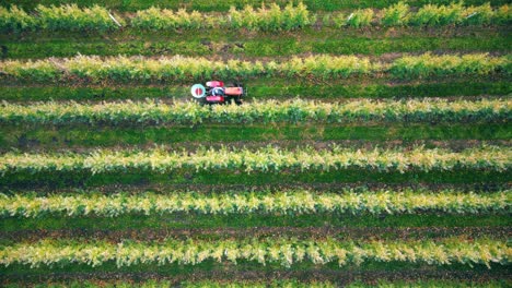 pulverizador de cultivos tractor pulverización de pesticidas o herbicidas campo