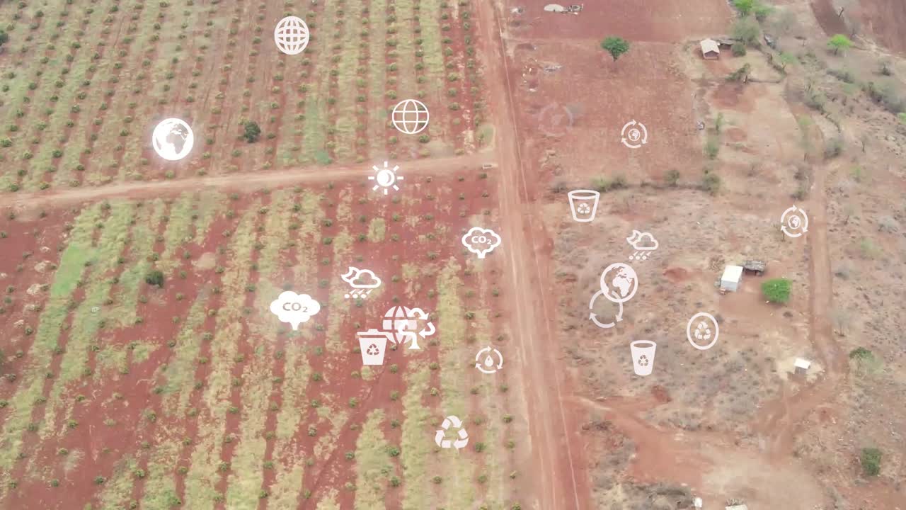 vista aérea futurista de drones de la cobertura forestal