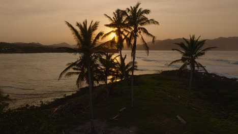 paisaje marino de la hora dorada, antena en una playa detrás de altas palmeras, puesta de sol