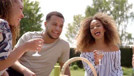 adult friends with drinks talking at a picnic, close up