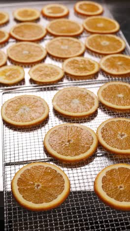 dried orange slices on dehydrator tray