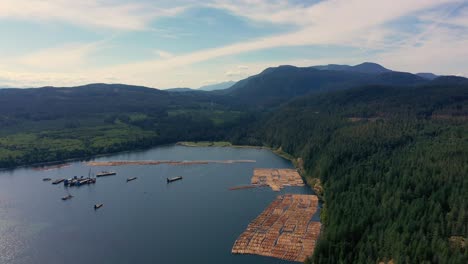 Viaje-De-Madera:-Vista-Aérea-De-Troncos-Flotantes-En-La-Entrada-Del-Río-Campbell,-Isla-De-Vancouver