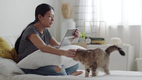 asian woman stroking a tabby cat while online video call on laptop.