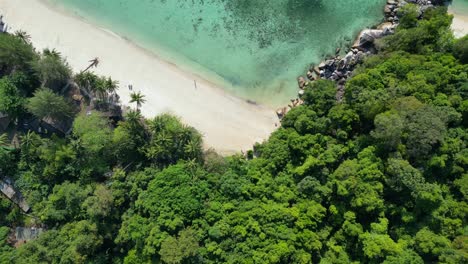 Paraíso-Tropical,-Aislada,-Serena-Playa-De-Arena-Junto-A-Un-Frondoso-Bosque,-Aguas-Cristalinas-Y-Azules.