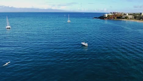 volando más allá de veleros amarrados con el resort en el fondo