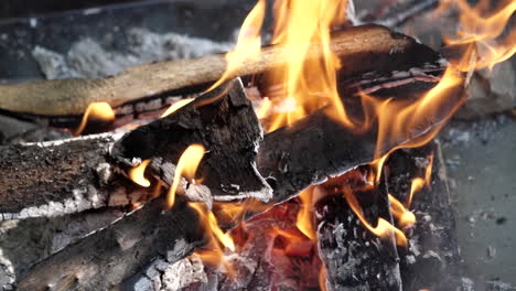 el fuego está ardiendo, vista de cerca - cámara lenta