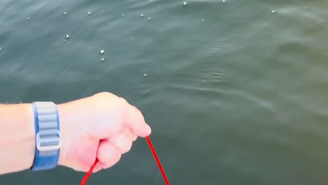 sacando la trampa de cangrejo del agua