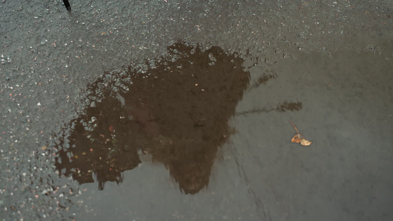 Poza d'asfalto bagnato con una sola foglia, vista aerea ravvicinata dell'acqua che si espande sul pavimento ruvido, macchia scura irregolare che si estende in una pozza riflettente, increspature sottili che riflettono il cielo grigio, ciottoli umidi