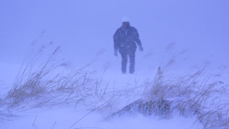 woman falls from exhaustion to her knees during a snowstorm