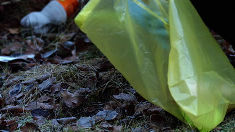 Persona-Recogiendo-Basura-Y-Basura-En-Bolsa-De-Recolección-En-Forestgather