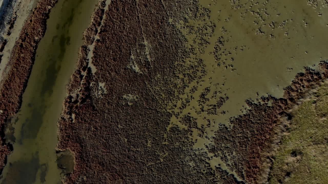 Brown texture of marshland seen from above with reeds, clay and stagnated water, swamp area with shallow ponds